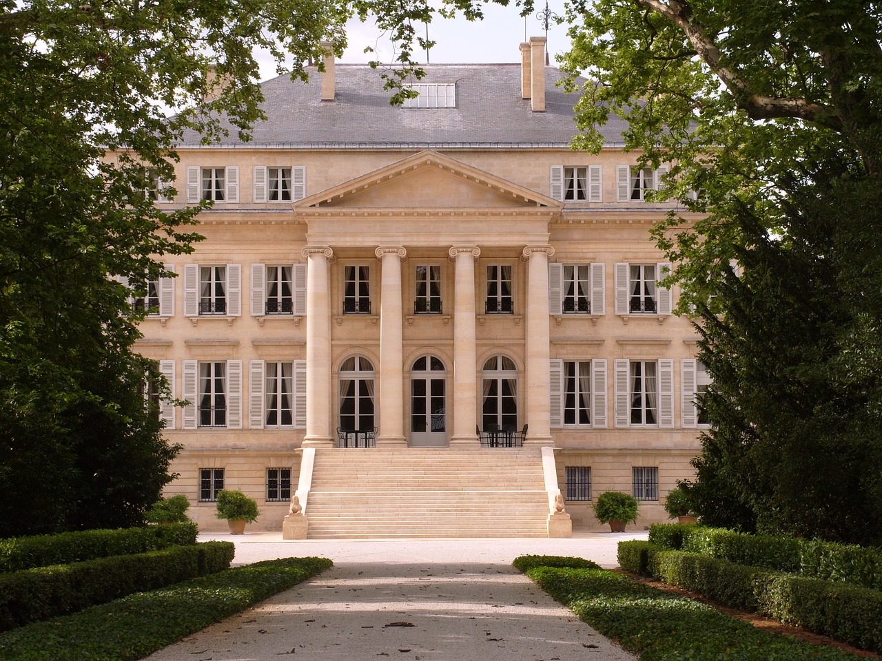 Château Margaux vineyard