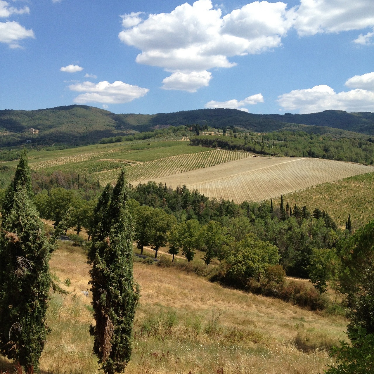 Tuscan Countryside