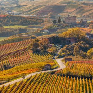 Top 5 European Wine Destinations for 2019