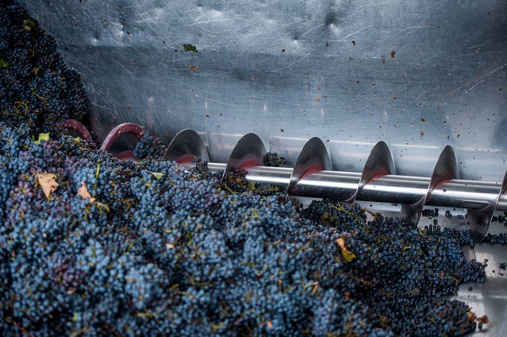 crushing the grapes