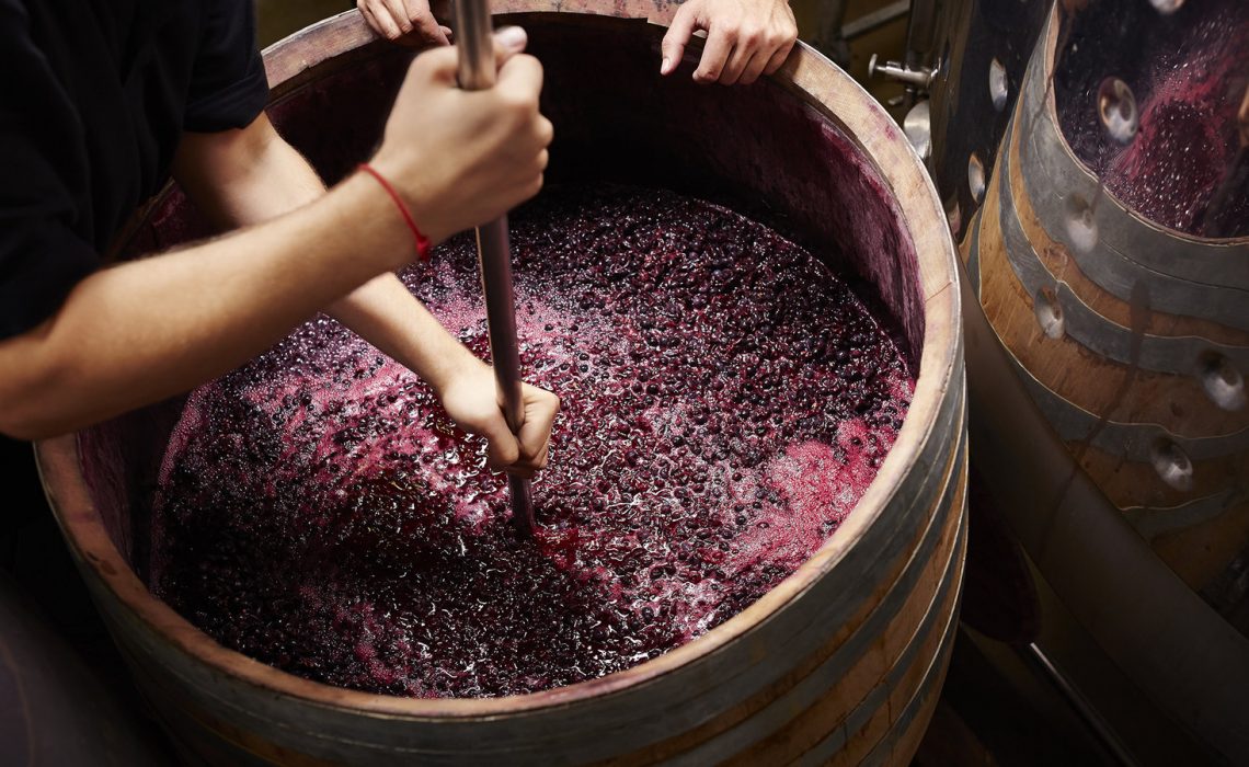 how to ferment grapes