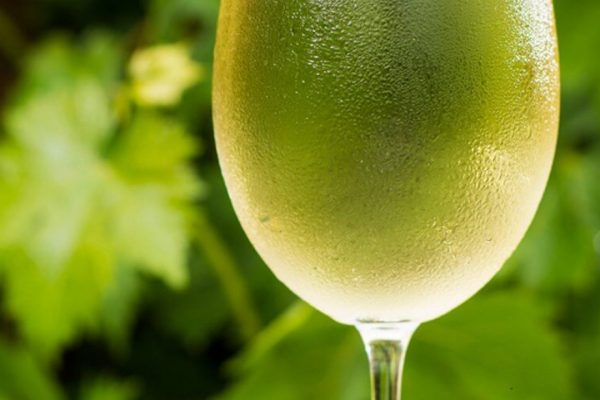 Wine Glass Chiller: Buying Guide