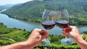 european wine regions
