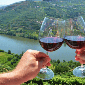 Exploring the top 10 most popular European wine regions