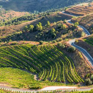 The Unsung Wine Regions of Europe Every Wine Lover Should Know