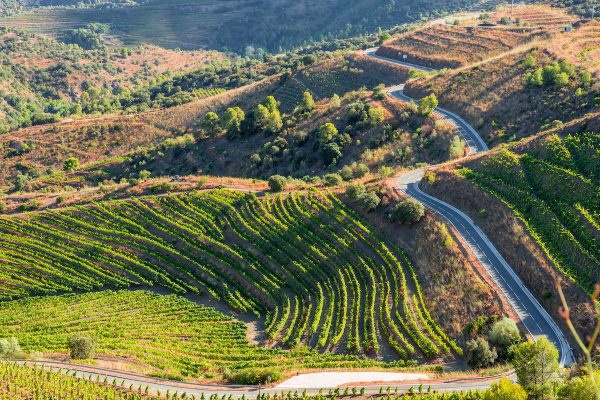 The Unsung Wine Regions of Europe Every Wine Lover Should Know